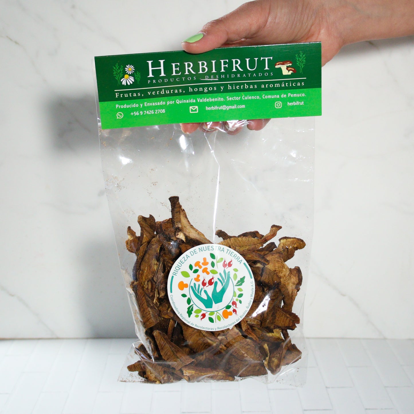 Hongo Boletus