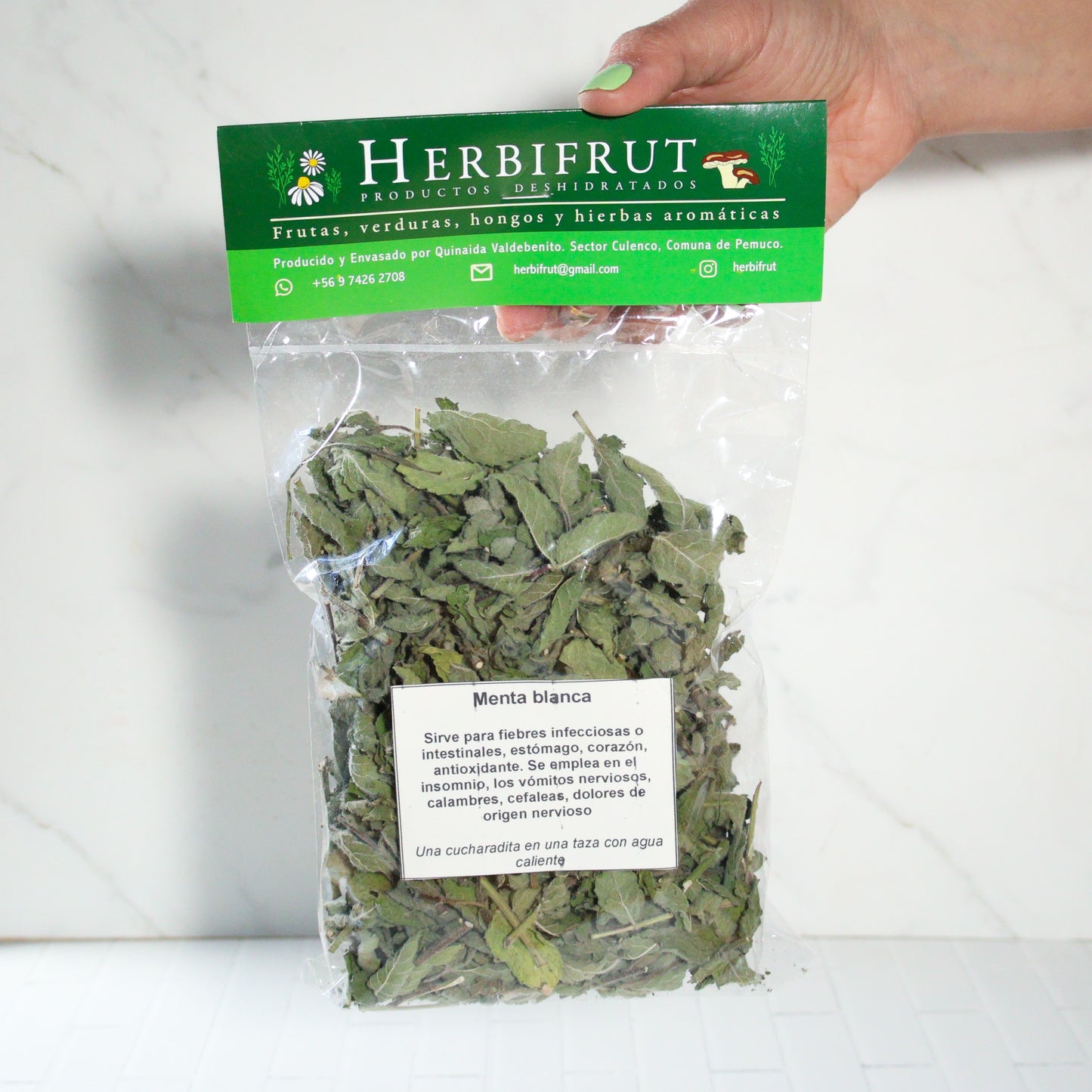 Menta Blanca